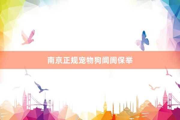 南京正规宠物狗阛阓保举